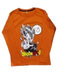 REMERA DRAGON BALL NARANJA MANGA LARGA (8-14)
