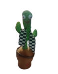 CACTUS CON MUSICA